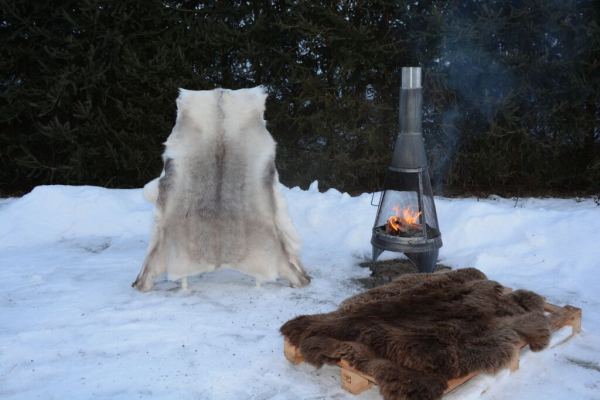 Rentierfell Golden Sunshine XXXL